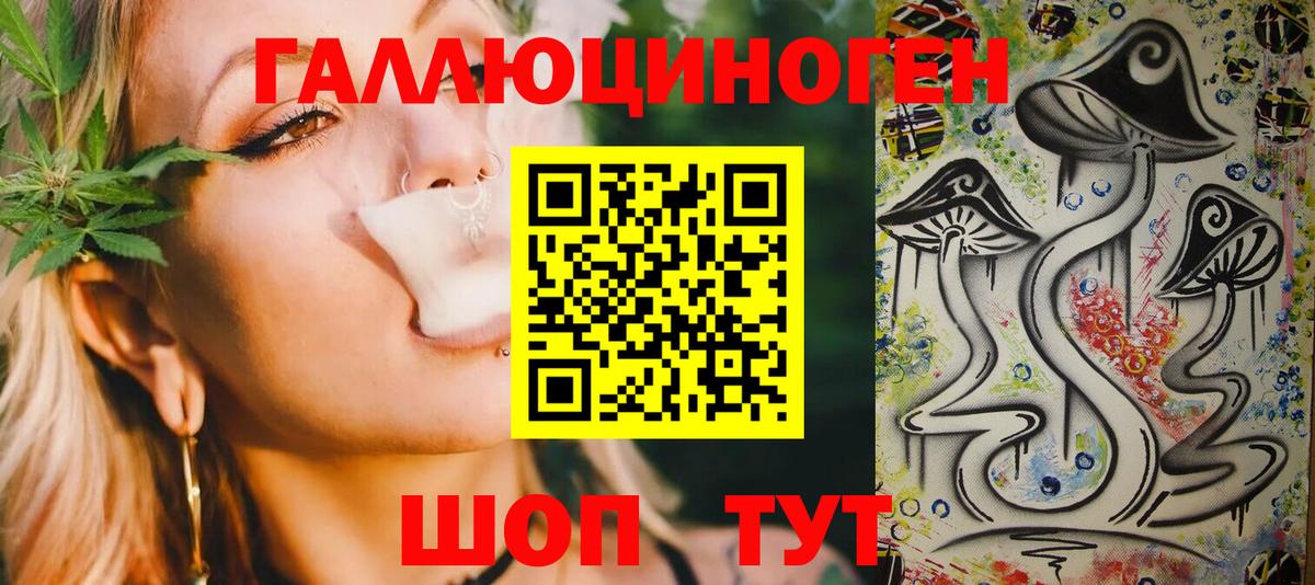 Псилоцибиновые грибы Psilocybine cubensis Азов