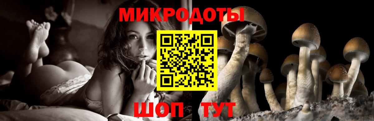 Азов  Галлюциногенные грибы Psilocybine cubensis  Вход с VPN 